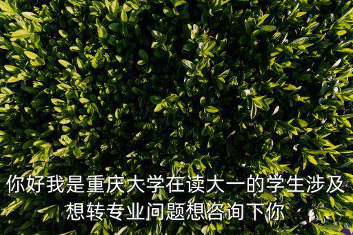 你好我是重慶大學(xué)在讀大一的學(xué)生涉及想轉(zhuǎn)專業(yè)問(wèn)題想咨詢下你