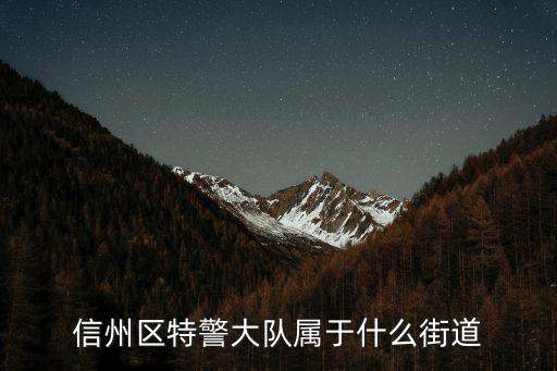 天津市特警總隊屬于哪個街道，天津有沒有特警部隊