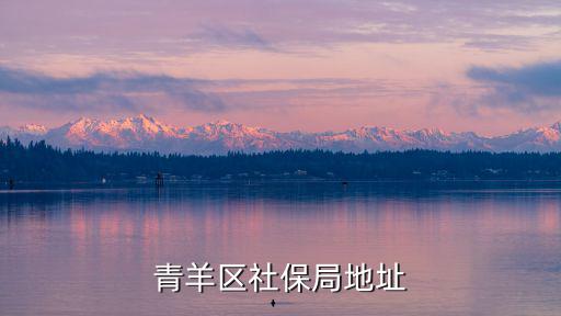 青羊區(qū)社保局地址