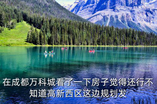 在成都萬科城看了一下房子覺得還行不知道高新西區這邊規劃發