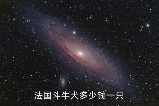 法斗多少錢,法國斗牛犬日常生活中更常見被當作家庭寵物飼養
