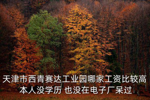 天津市西青賽達工業園哪家工資比較高 本人沒學歷 也沒在電子廠呆過
