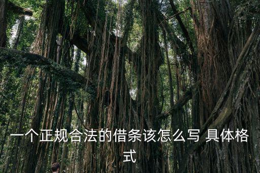 一個正規合法的借條該怎么寫 具體格式