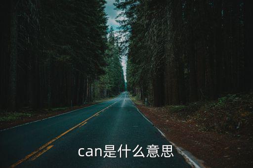 can是什么意思