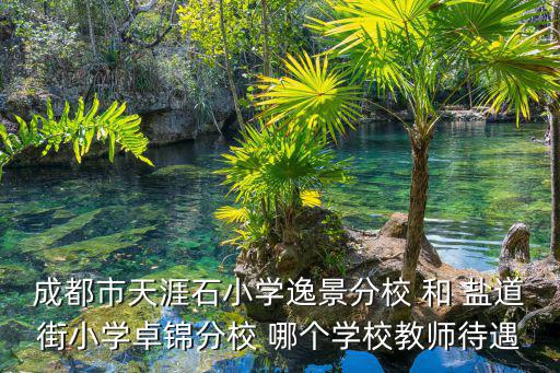 成都市天涯石小學分校，成都天涯石小學在哪兒