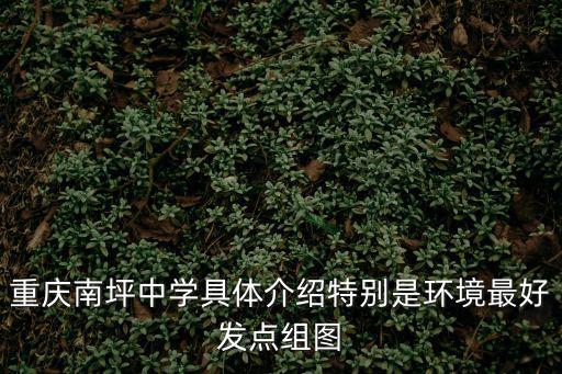 重慶市南坪初中，南坪中學在哪