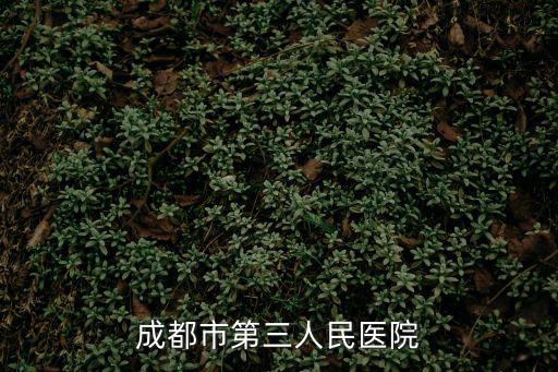成都市第三人民醫(yī)院