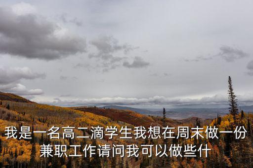 我是一名高二滴學生我想在周末做一份兼職工作請問我可以做些什