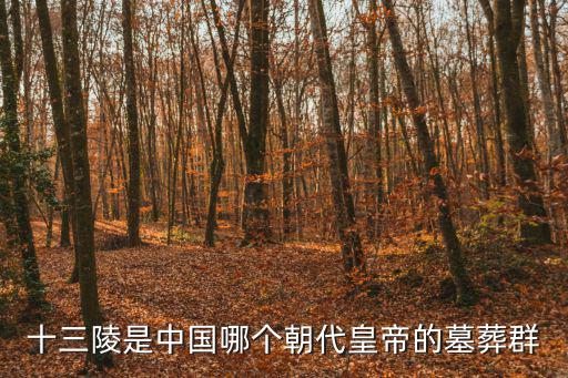 明泰陵,十三陵之盛京皇陵之謎