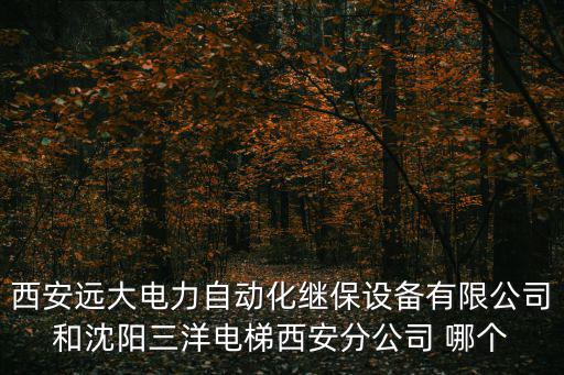 西安遠大電力自動化繼保設備有限公司和沈陽三洋電梯西安分公司 哪個