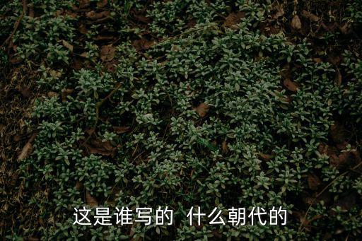 這是誰寫的  什么朝代的