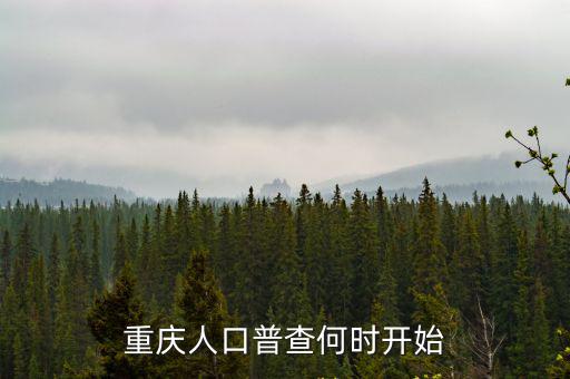 重慶人口普查何時開始