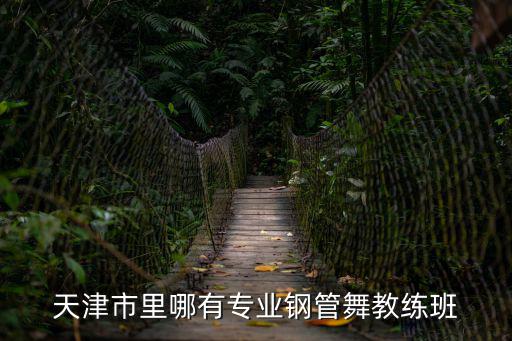天津市里哪有專業鋼管舞教練班