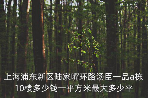 浦東凌港房價最新消息新聞，陸家嘴人才公寓真的要給上海紐約大學當宿舍了嗎