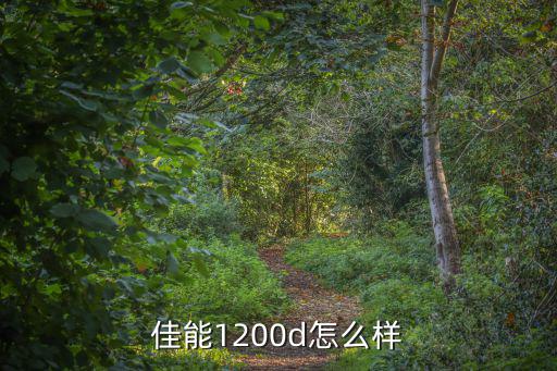 佳能1200d怎么樣