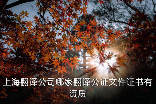 上海翻譯公司哪家翻譯公證文件證書有資質(zhì)
