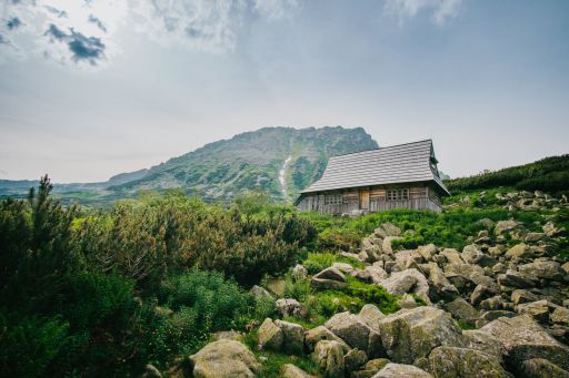臭豆腐的英文,第二集:砸出你的名字!
