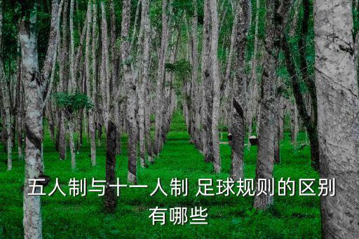 五人制足球,五人制比賽進(jìn)球次數(shù)是十人制兩倍