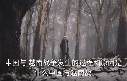 越南戰爭的起因,越南戰爭是美國打的還是中國自衛反擊戰?