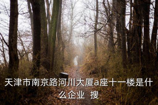 天津市南京路河川大廈a座十一樓是什么企業  搜