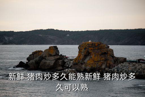新鮮 豬肉炒多久能熟新鮮 豬肉炒多久可以熟
