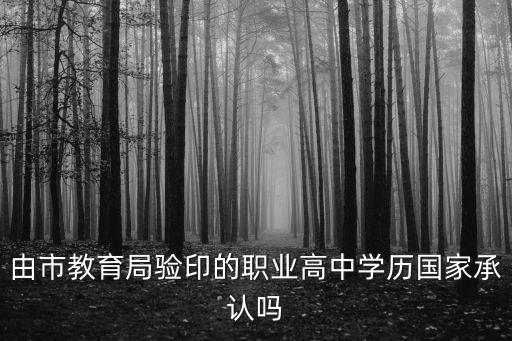 由市教育局驗印的職業高中學歷國家承認嗎
