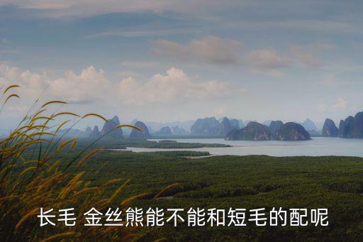  長毛 金絲熊能不能和短毛的配呢