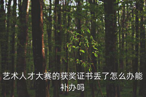 藝術人才大賽的獲獎證書丟了怎么辦能補辦嗎