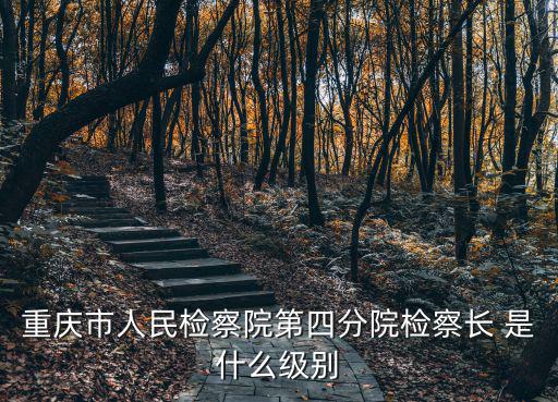 重慶市人民檢察院第四分院檢察長 是什么級別