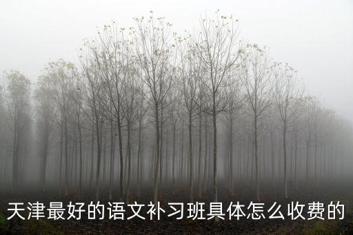 天津最好的語文補(bǔ)習(xí)班具體怎么收費的