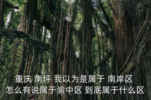 重慶 南坪 我以為是屬于 南岸區 怎么有說屬于渝中區 到底屬于什么區