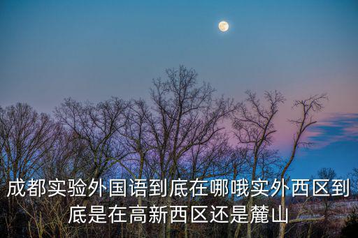 成都實驗外國語到底在哪哦實外西區到底是在高新西區還是麓山