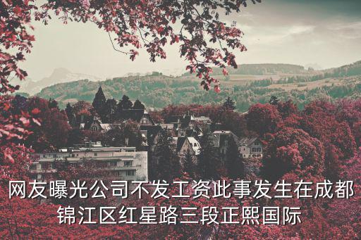 網友曝光公司不發工資此事發生在成都錦江區紅星路三段正熙國際