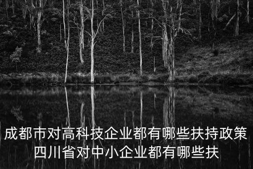 成都市對高科技企業(yè)都有哪些扶持政策四川省對中小企業(yè)都有哪些扶