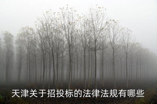 天津市建設(shè)工程項目代建管理試行辦法，開發(fā)商代建方施工方三方關(guān)系如何處理