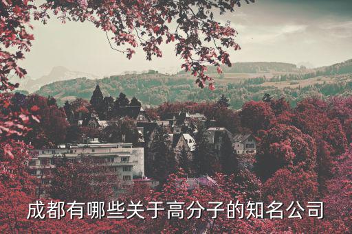 成都有哪些關于高分子的知名公司