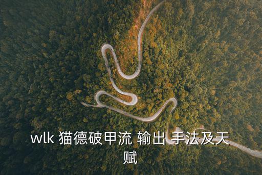 貓德輸出手法,本屆大選提名名單