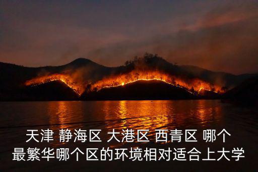 天津 靜海區 大港區 西青區 哪個最繁華哪個區的環境相對適合上大學