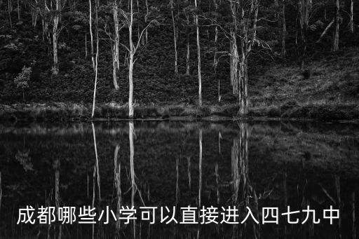 成都哪些小學(xué)可以直接進(jìn)入四七九中