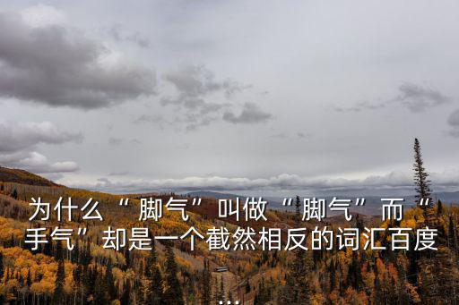 為什么“ 腳氣”叫做“ 腳氣”而“ 手氣”卻是一個(gè)截然相反的詞匯百度...