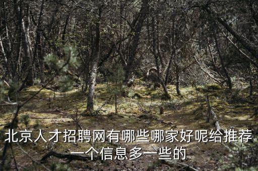 北京人才招聘網有哪些哪家好呢給推薦一個信息多一些的