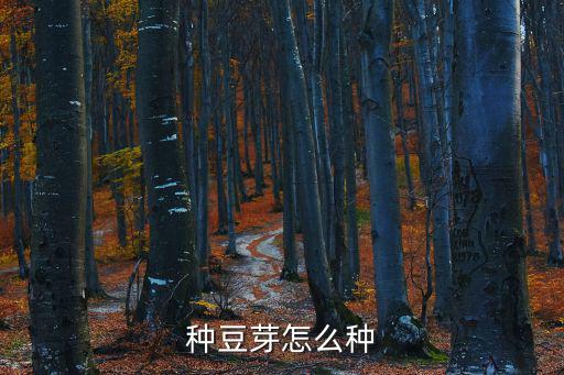 怎樣種豆芽，豆芽怎么種