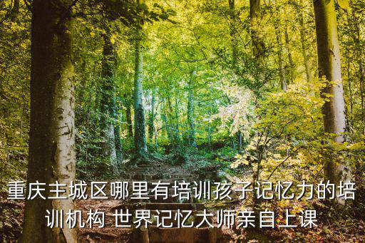 重慶市追光少年，重慶主城區(qū)哪里有培訓孩子記憶力的培訓機構 世界記憶大師親自上課