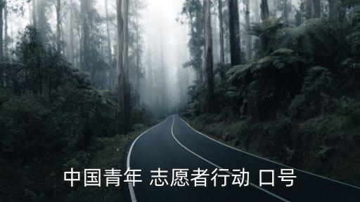 中國青年 志愿者行動 口號