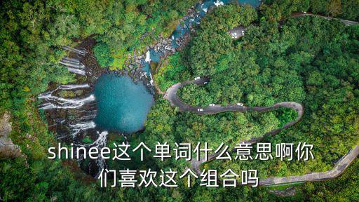 shinee,閃耀樂隊組合名被光照亮的人