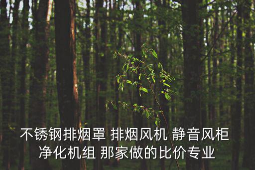 不銹鋼排煙罩 排煙風機 靜音風柜 凈化機組 那家做的比價專業