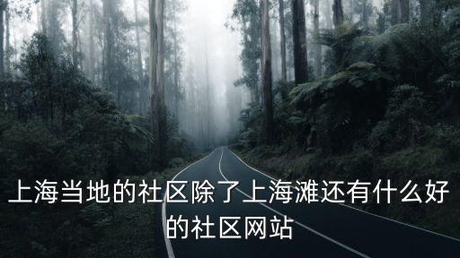 上海本地論壇有哪些，上海當地的社區除了上海灘還有什么好的社區網站