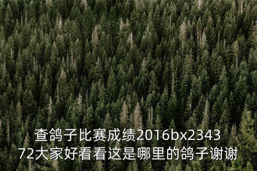 天津市級成幼鴿聯賽成績2009，CHN200902632993是什么地方誰的鴿子有名次嗎