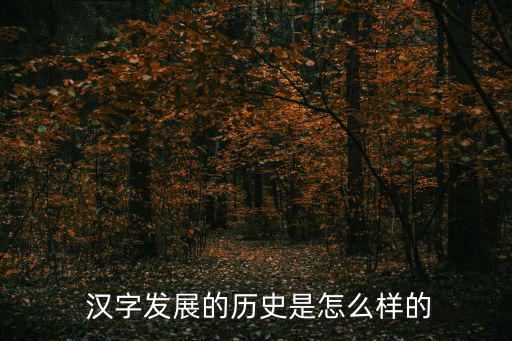  漢字發展的歷史是怎么樣的