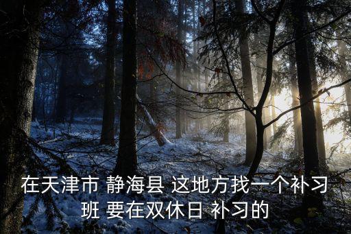 天津市靜海縣教師進修學校，在天津市 靜海縣 這地方找一個補習班 要在雙休日 補習的